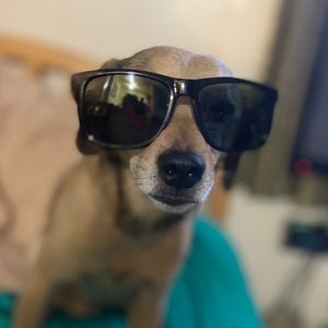 Meet your Posher, Janeth